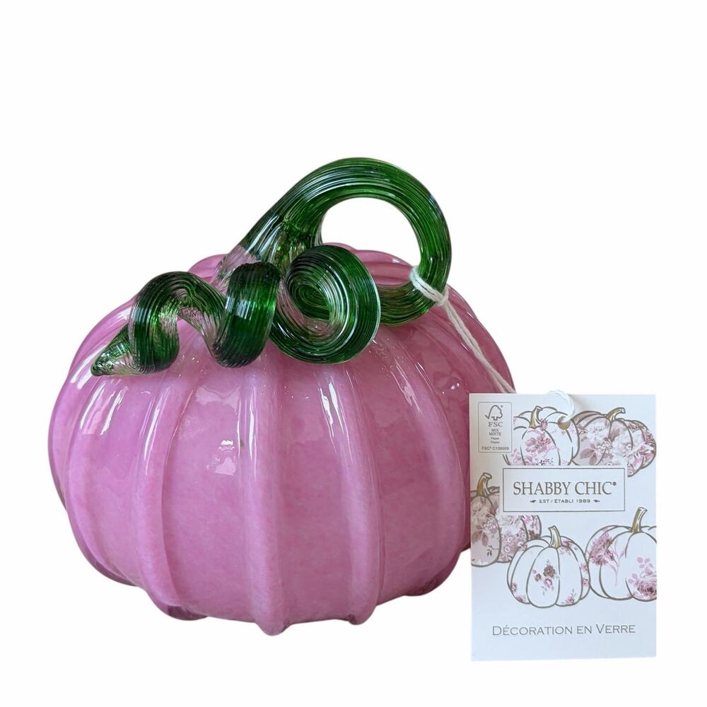 Hand Blown Art Glass Pumpkin Pink w/ Green Stem 8x6 Shabby Chic Fall Decor New